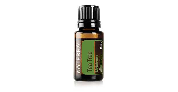 Teebaumöl (Tea Tree / Melaleuca)